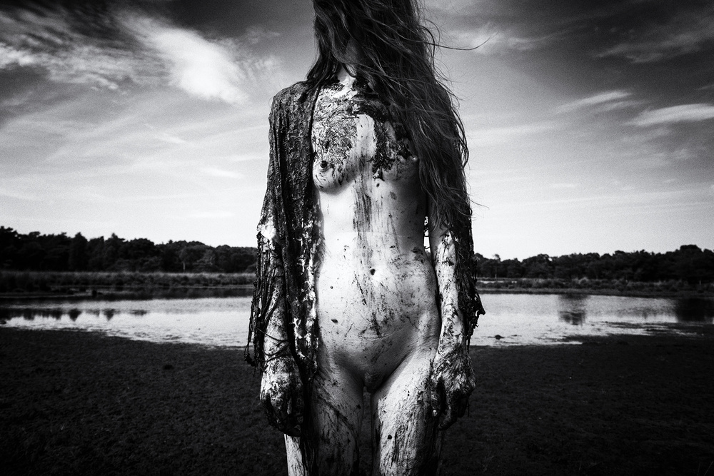 Untitled von Ton Dirven