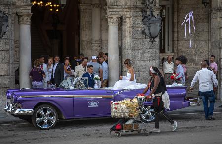 The Haves and Have Nots