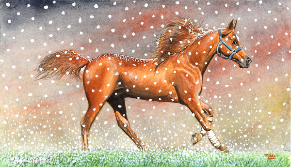 Christmas Snow von Tony  Todd