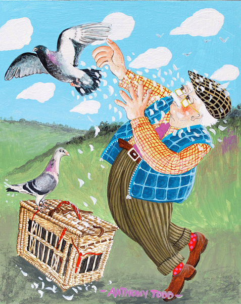 Flaming June has only won one race, and that was because the other pigeon developed a nasty cough in von Tony  Todd