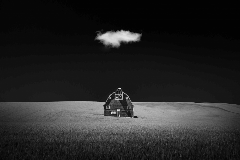 Watcher In The Rye von TonyXu