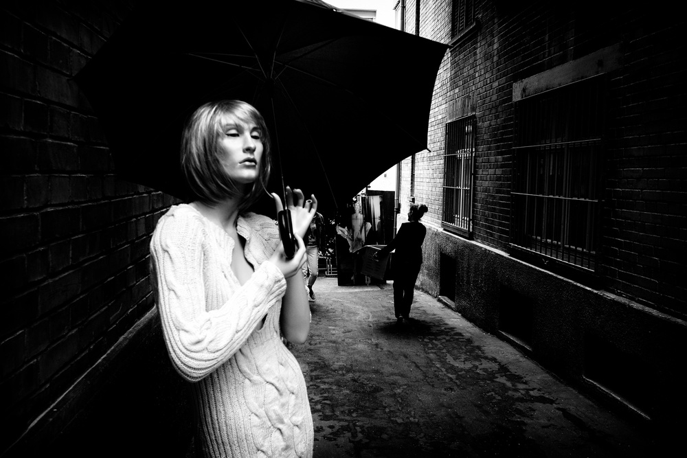 Backyard Beauty von Torsten Köster