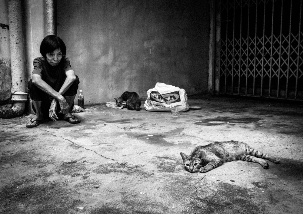with cats von TORU MATSUNAGA