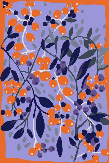 Blue And Orange Berries