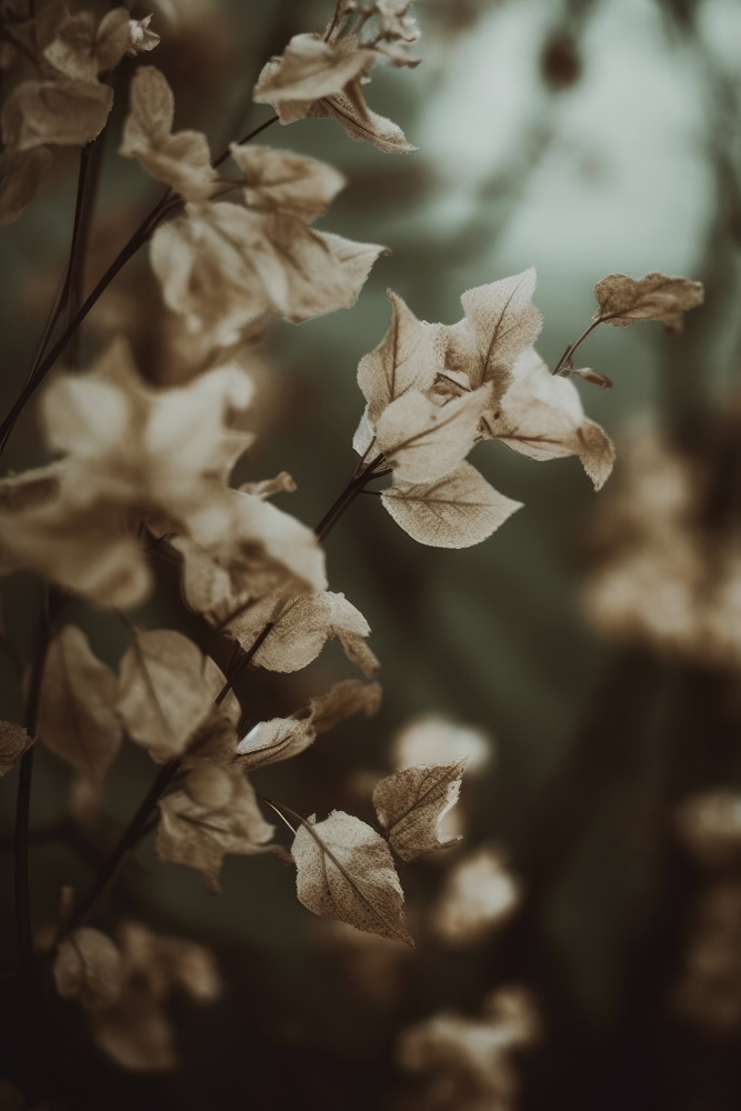 Low Light Nature No 2 von Treechild