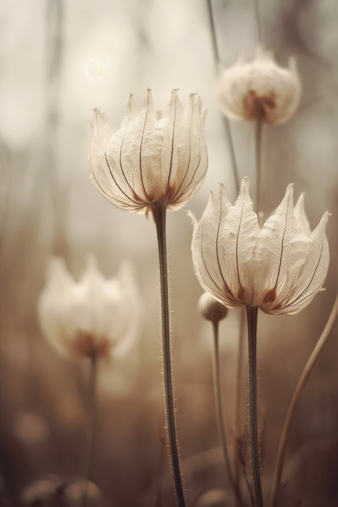 Pastel Nature No 10 von Treechild