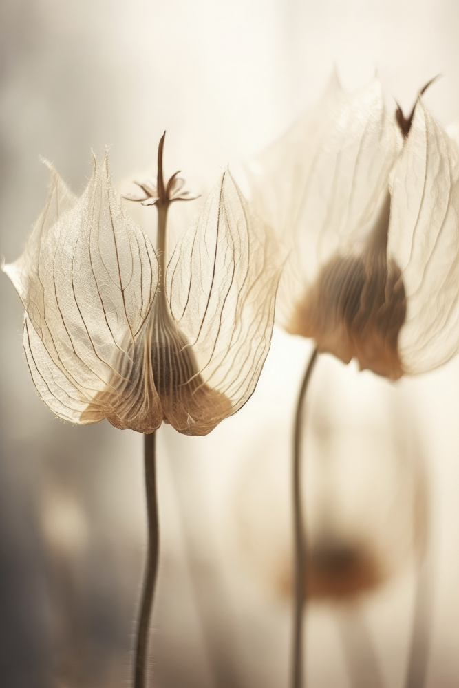 Pastel Nature No 7 von Treechild