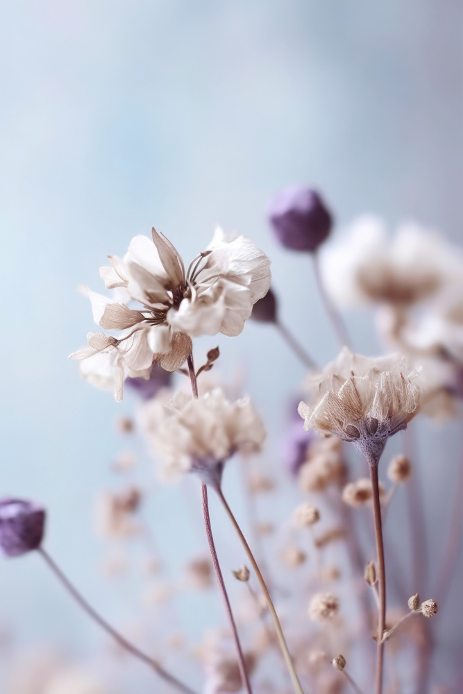 Pastel Dry Flowers No 4 von Treechild