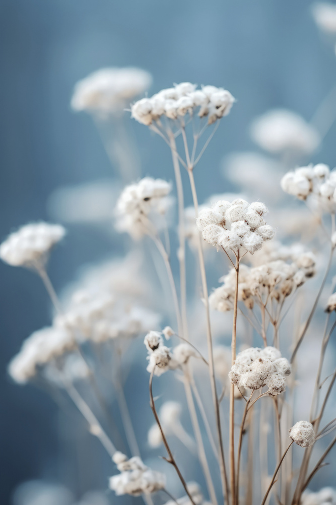 Gentle Blue Mood von Treechild