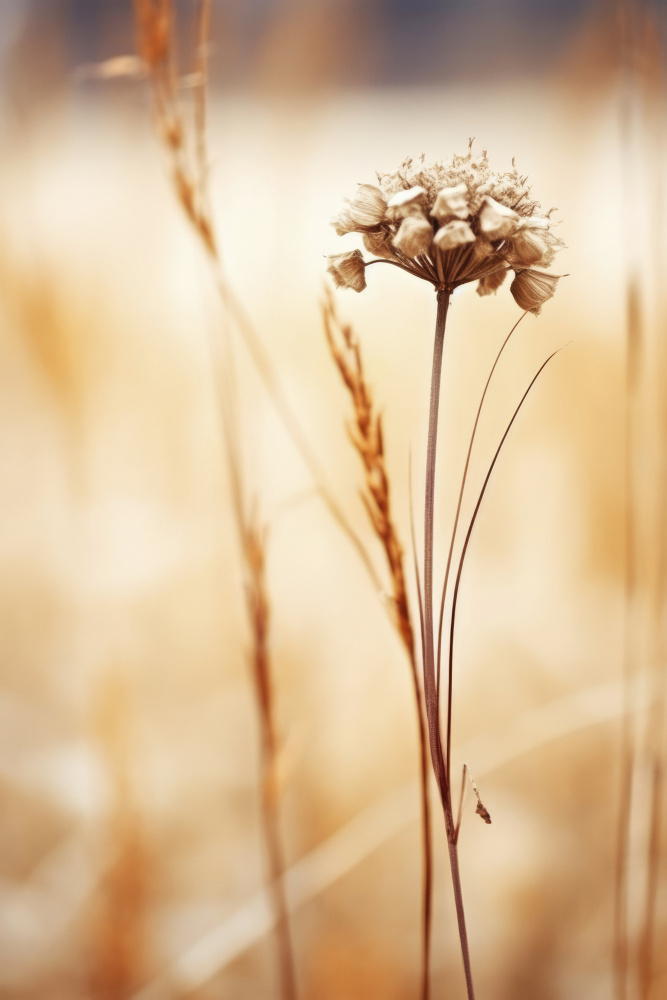 September Impression von Treechild