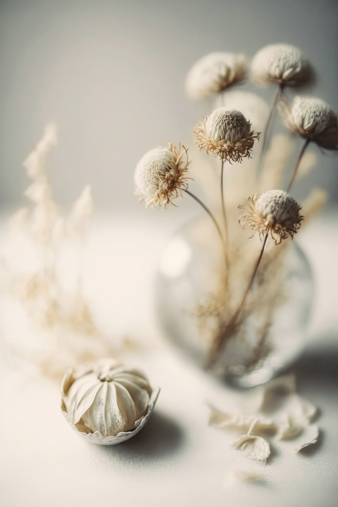 Still Life Impressions No 8 von Treechild