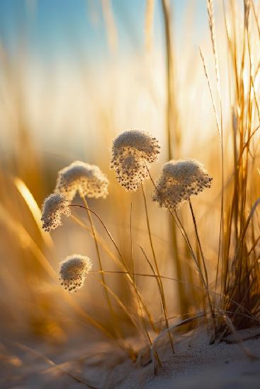 Beach Impressions No 3