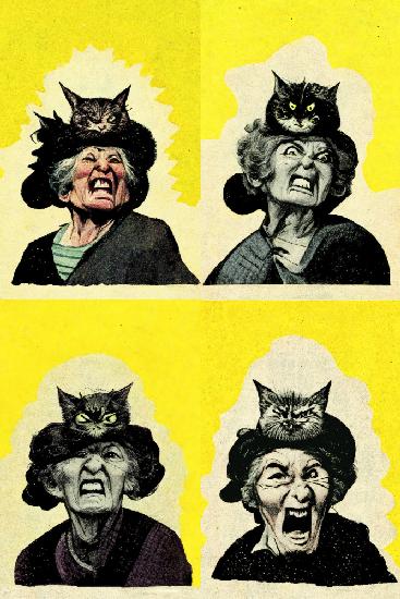 Angry Cat Lady