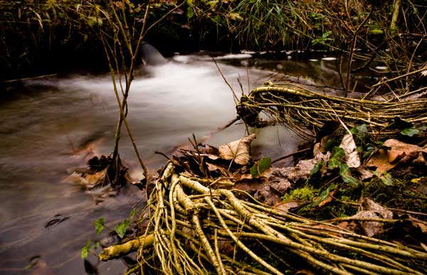 Speeding Brook von Trevor Aston