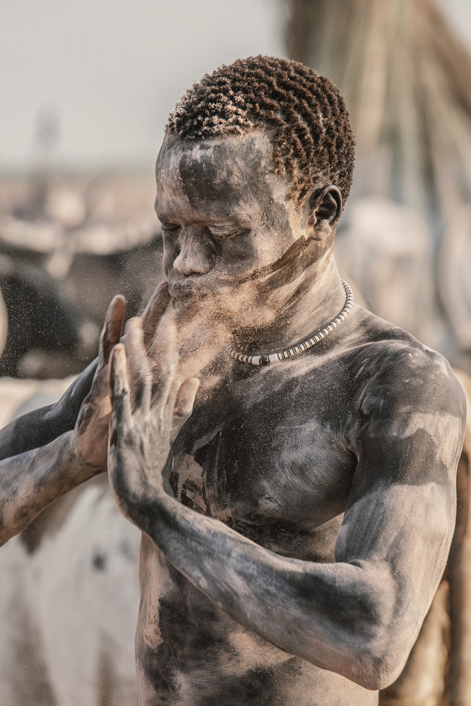 Applying the ash von Trevor Cole