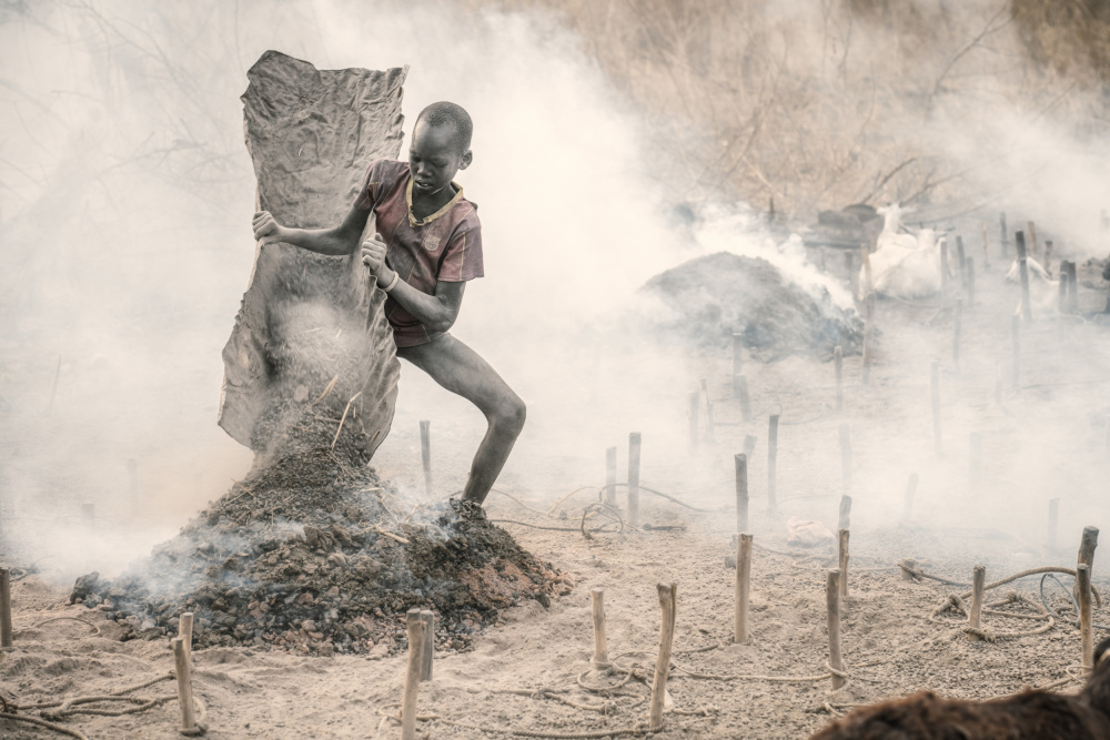 Adding fuel to the fire von Trevor Cole