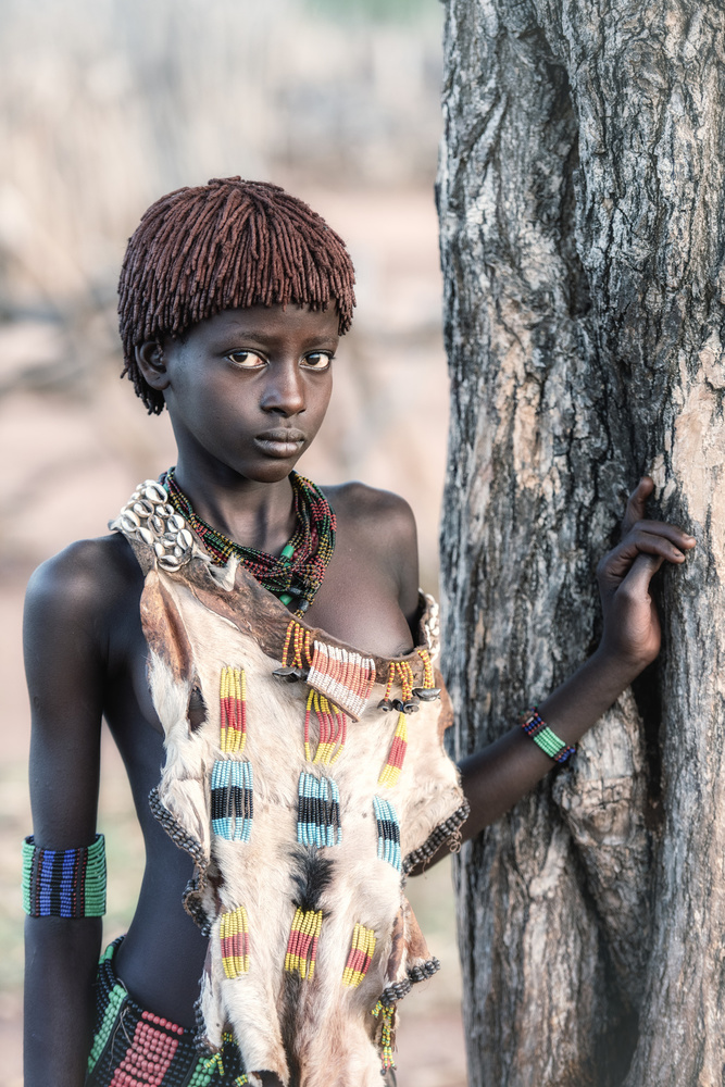 Young Hamar von Trevor Cole