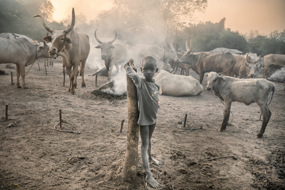 Young Mundari with his cattle von Trevor Cole