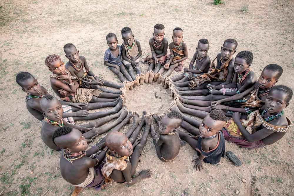 The circle of life von Trevor Cole