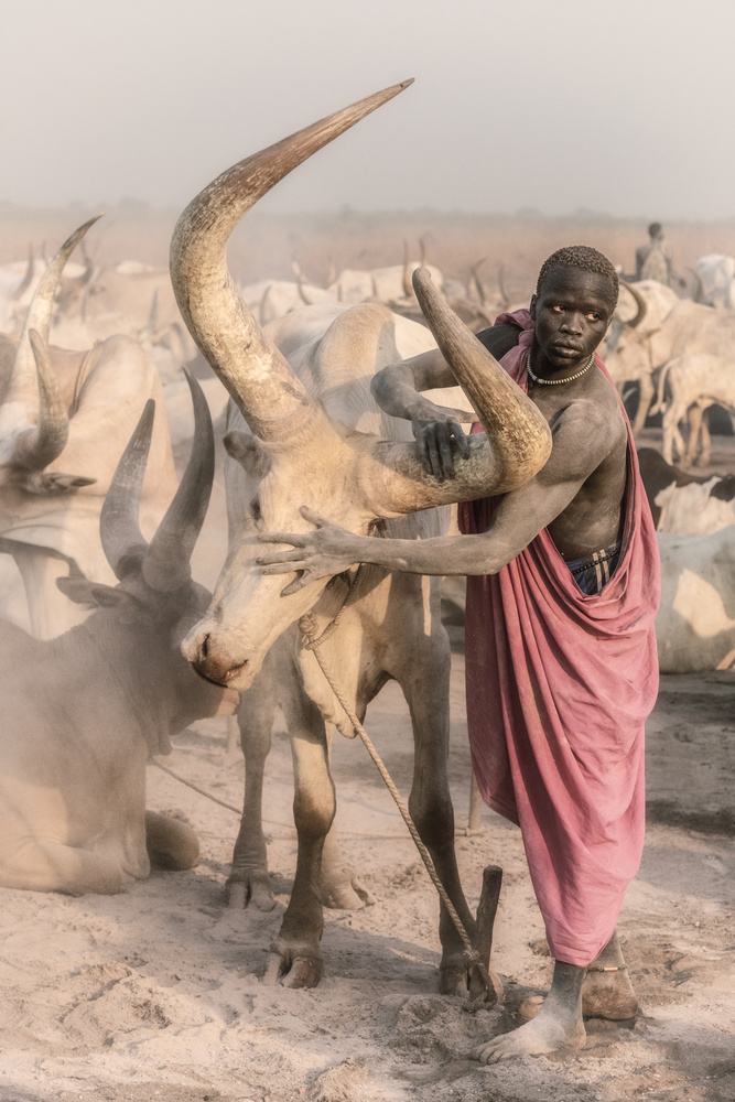 The massage von Trevor Cole