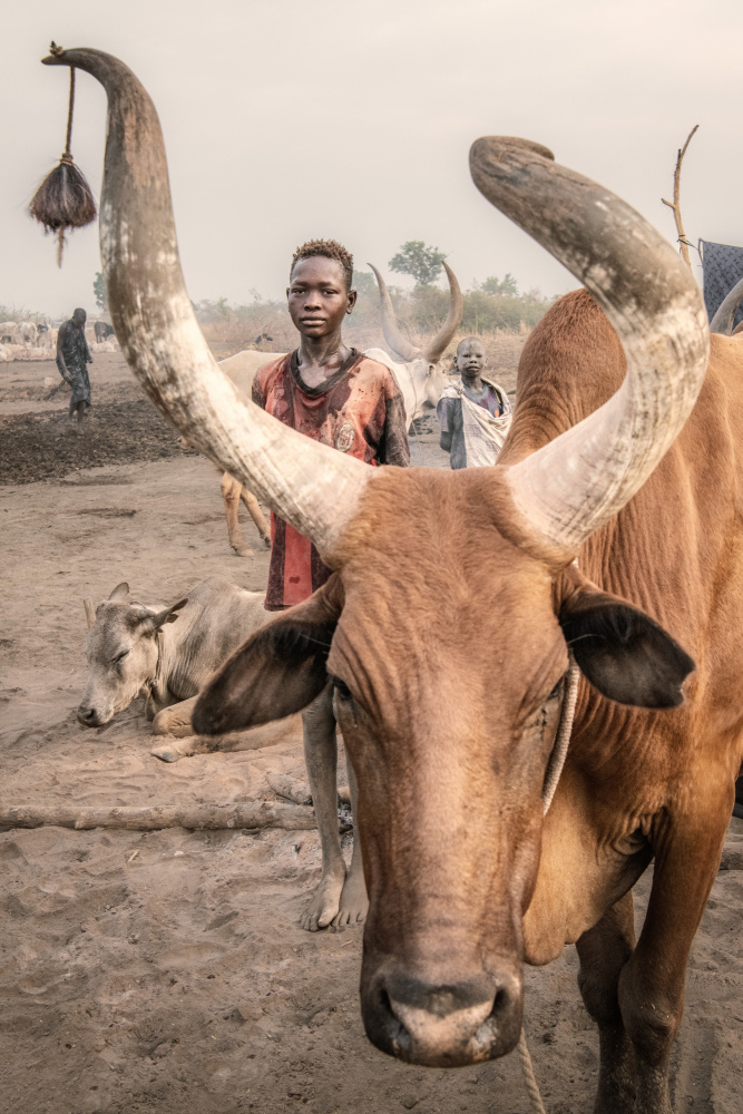 Another life von Trevor Cole