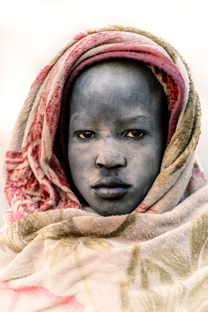 A veneer of ash von Trevor Cole