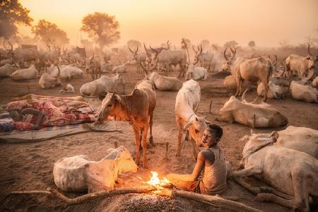 A young Mundari herder at work
