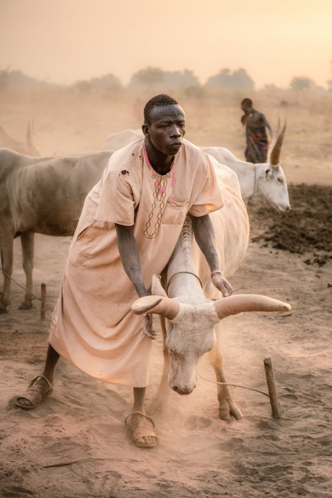 A symbiotic bond von Trevor Cole