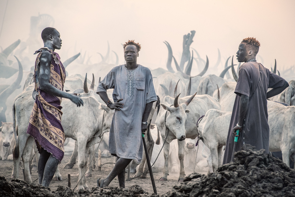 A time to discuss von Trevor Cole