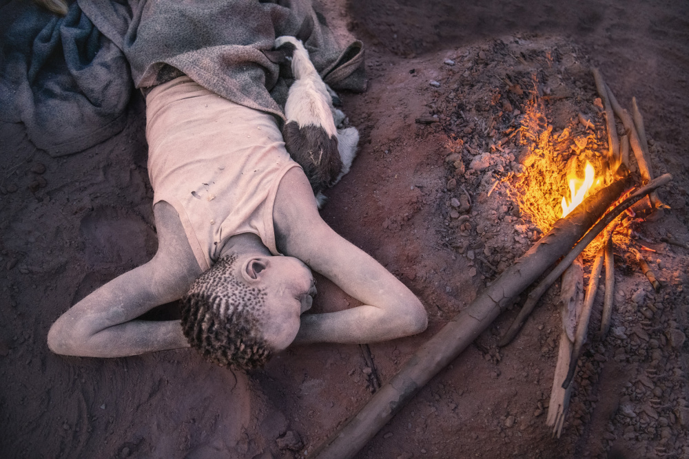 Dreaming of his cows von Trevor Cole