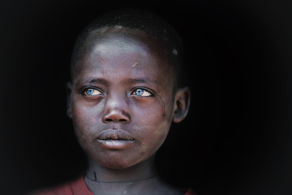 Cerulean eyes von Trevor Cole