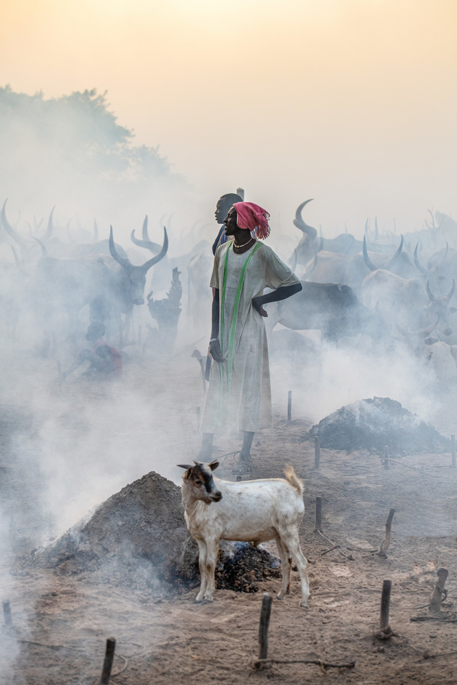 In the midst von Trevor Cole