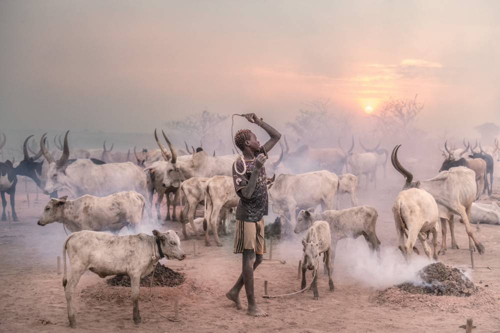 Boy herder von Trevor Cole
