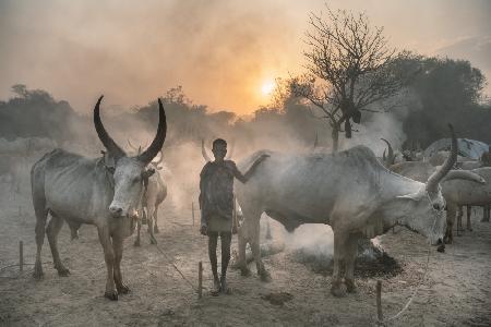 Young Mundari girl in camp