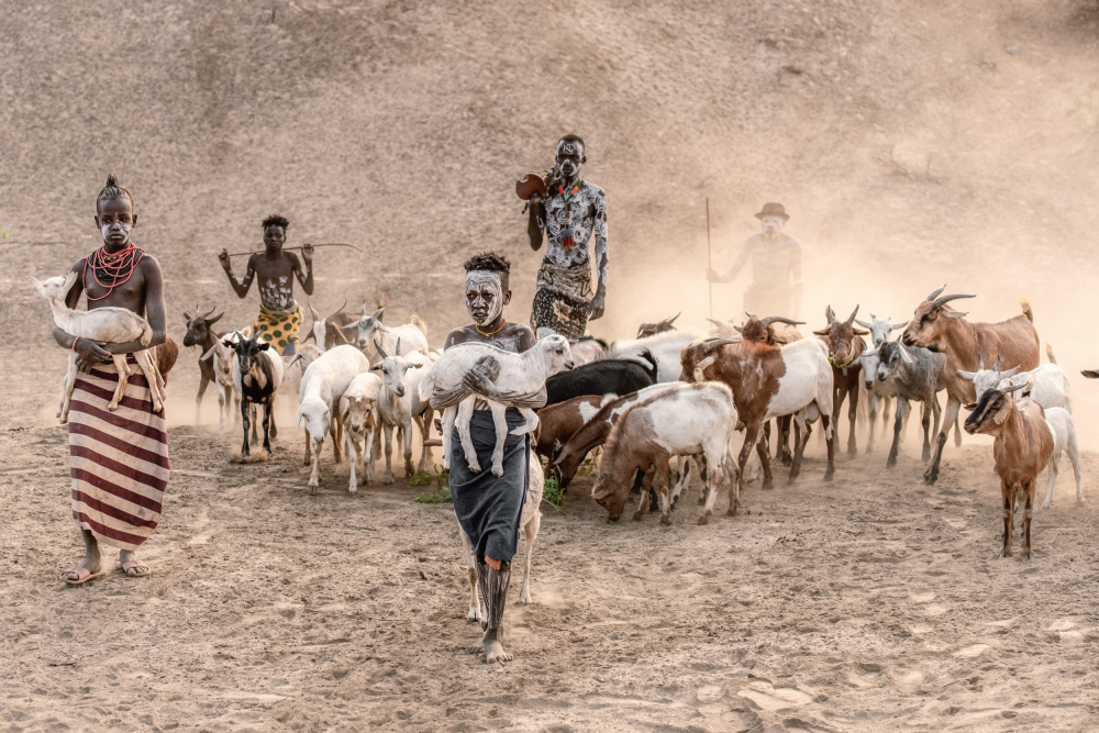 Kara shepherding von Trevor Cole