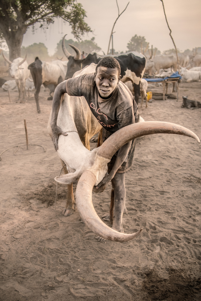 Mundari bonding von Trevor Cole