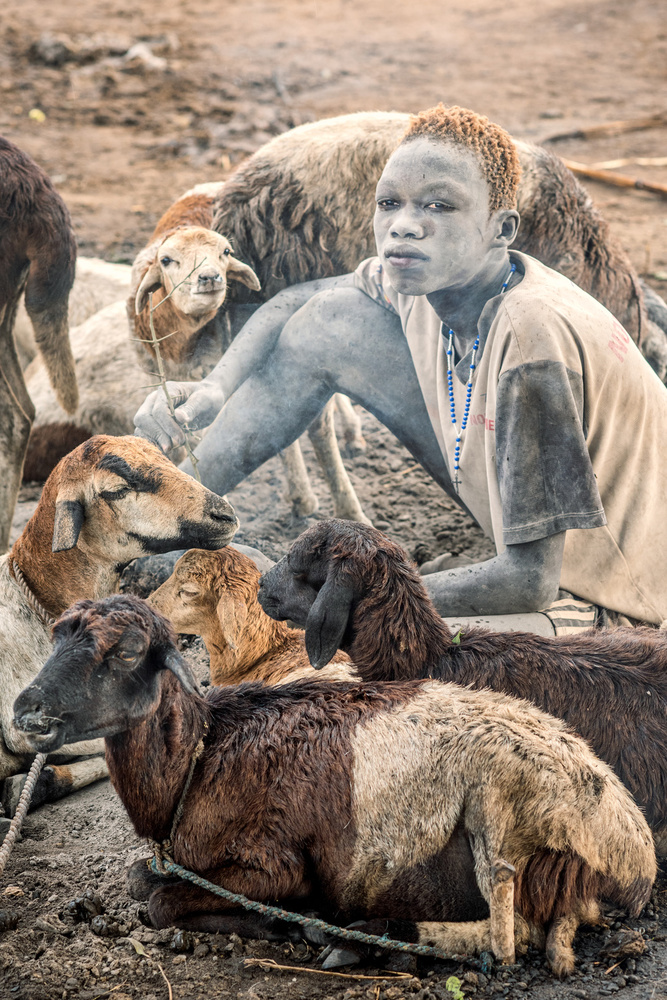 Mundari shepherd von Trevor Cole