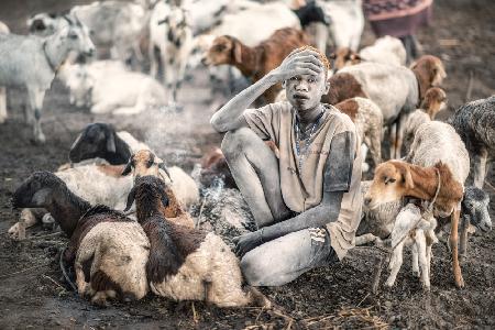 Mundari Shepherding