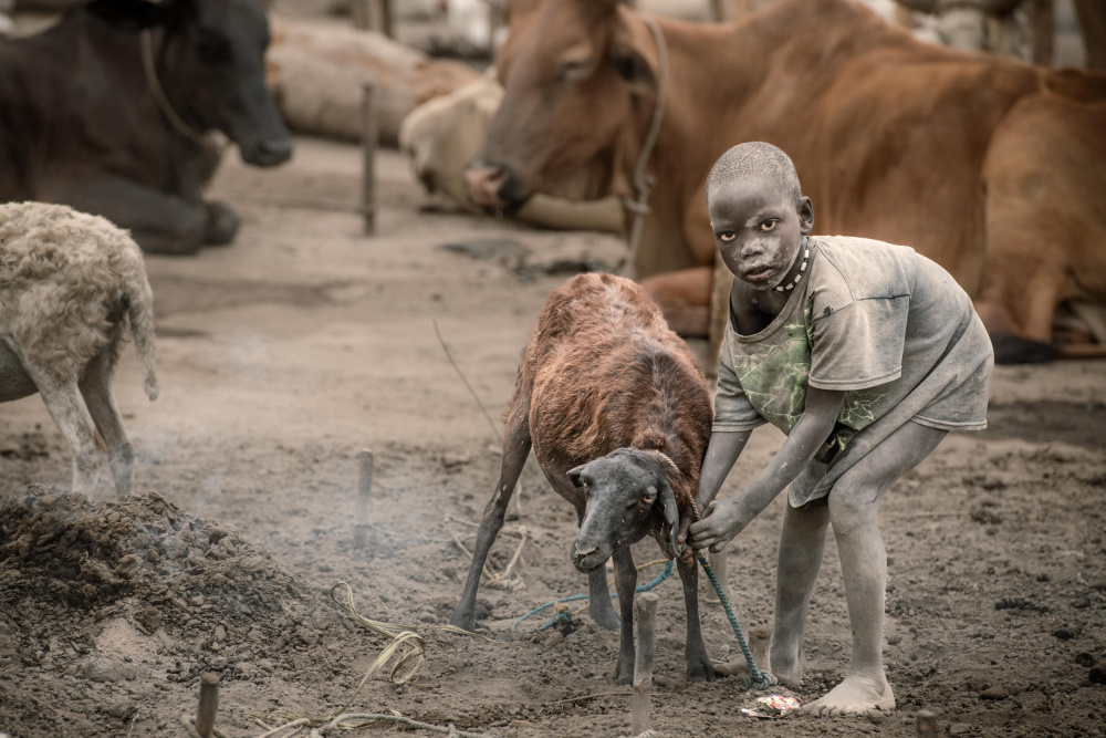 Mundari child herder von Trevor Cole