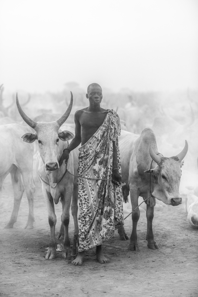 Mundari cattle herder von Trevor Cole