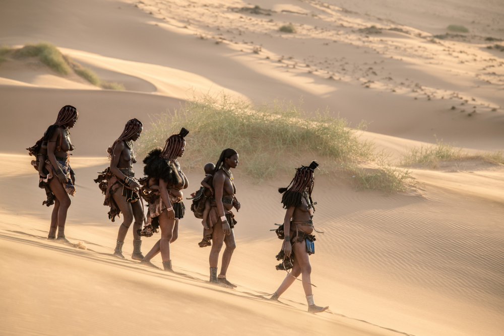 Returning home von Trevor Cole