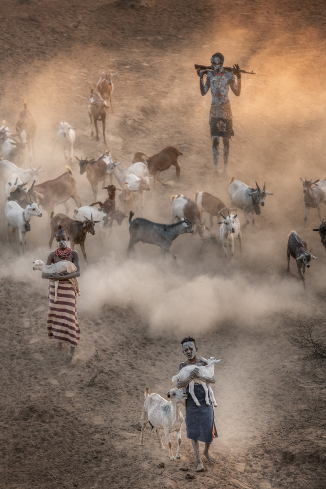 Dust and light von Trevor Cole