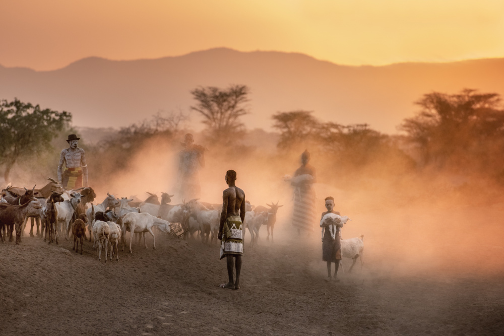 Dust and dawn in Dus von Trevor Cole