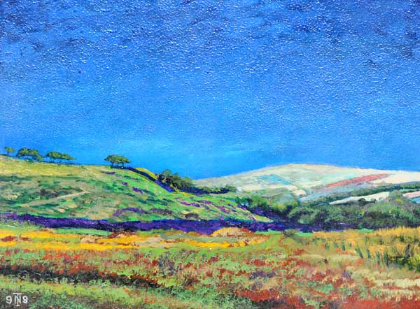 Derbyshire landscape von Trevor  Neal