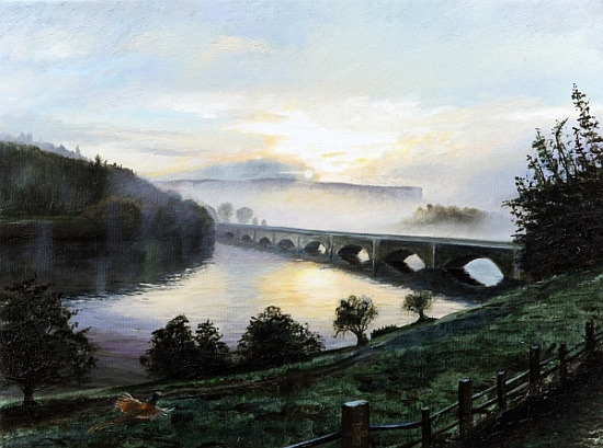 Early Morning Mist von Trevor  Neal