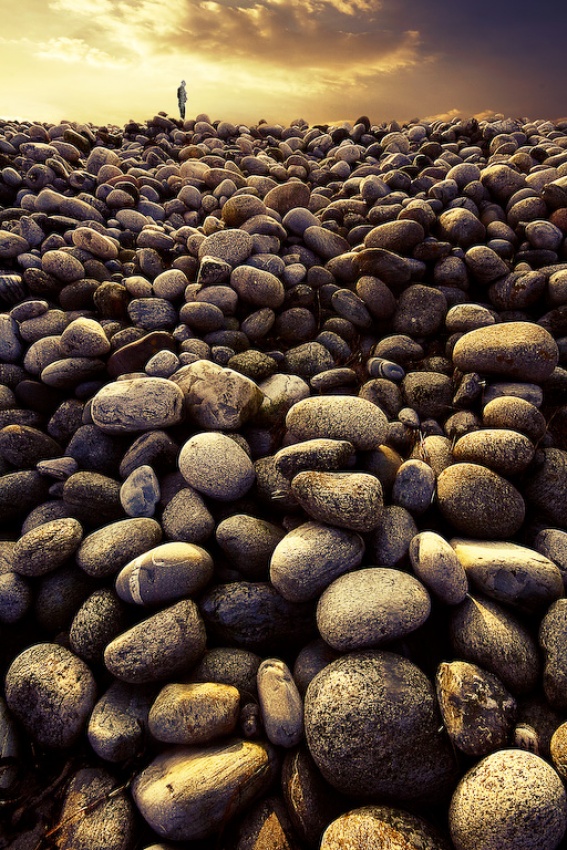 Rollerstones von Trond Andersen