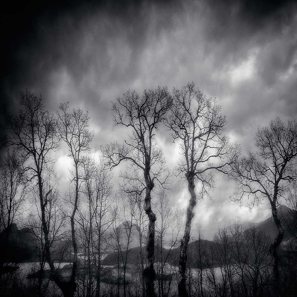 letzten Tage von txules