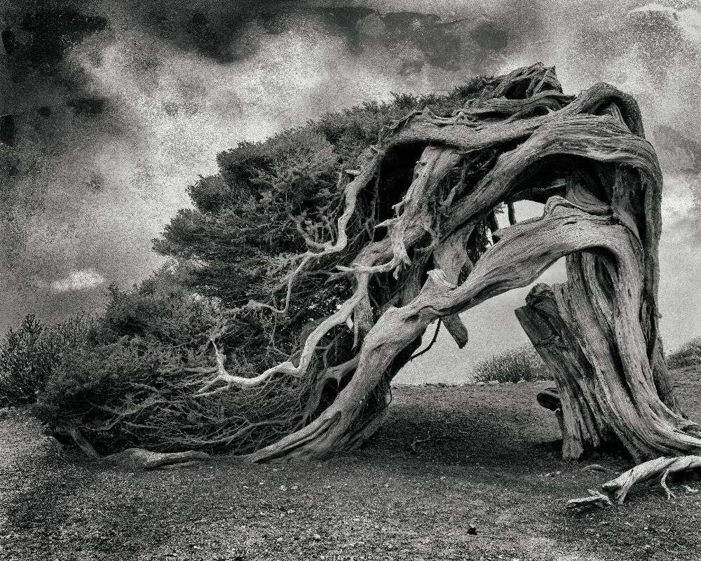 noch am Leben von txules