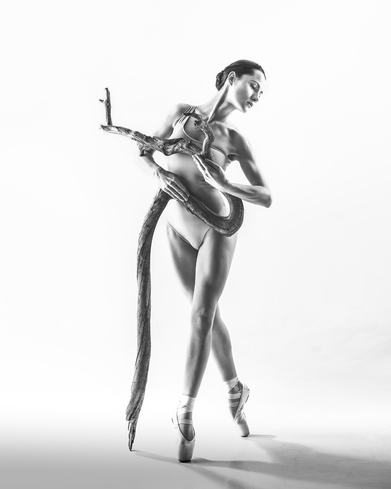 untitledl von Łukasz Kozłowski