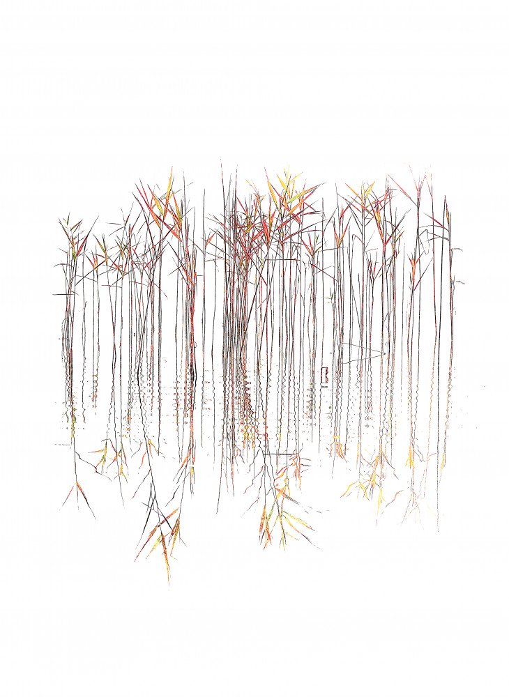 Grasses von Ulrike Eisenmann